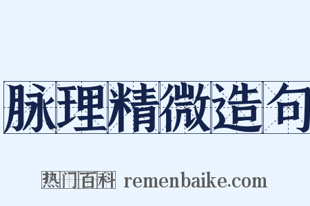 脉理精微造句是什么意思的图片